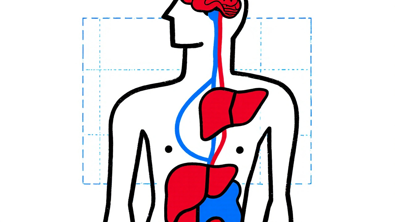 Cabergoline and Diabetes: What Research Shows About Blood Sugar Effects
