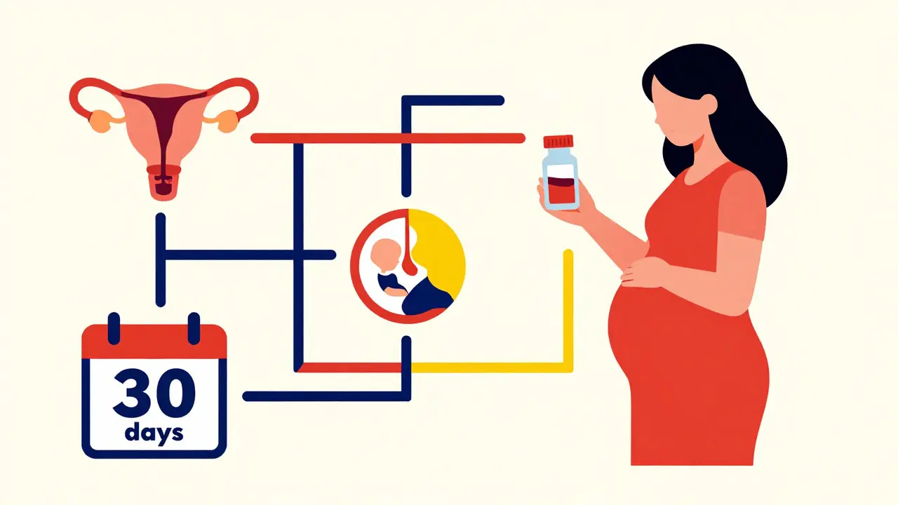 Pregnant woman beside a color-blocked flowchart showing drug safety data in abstract geometric forms.