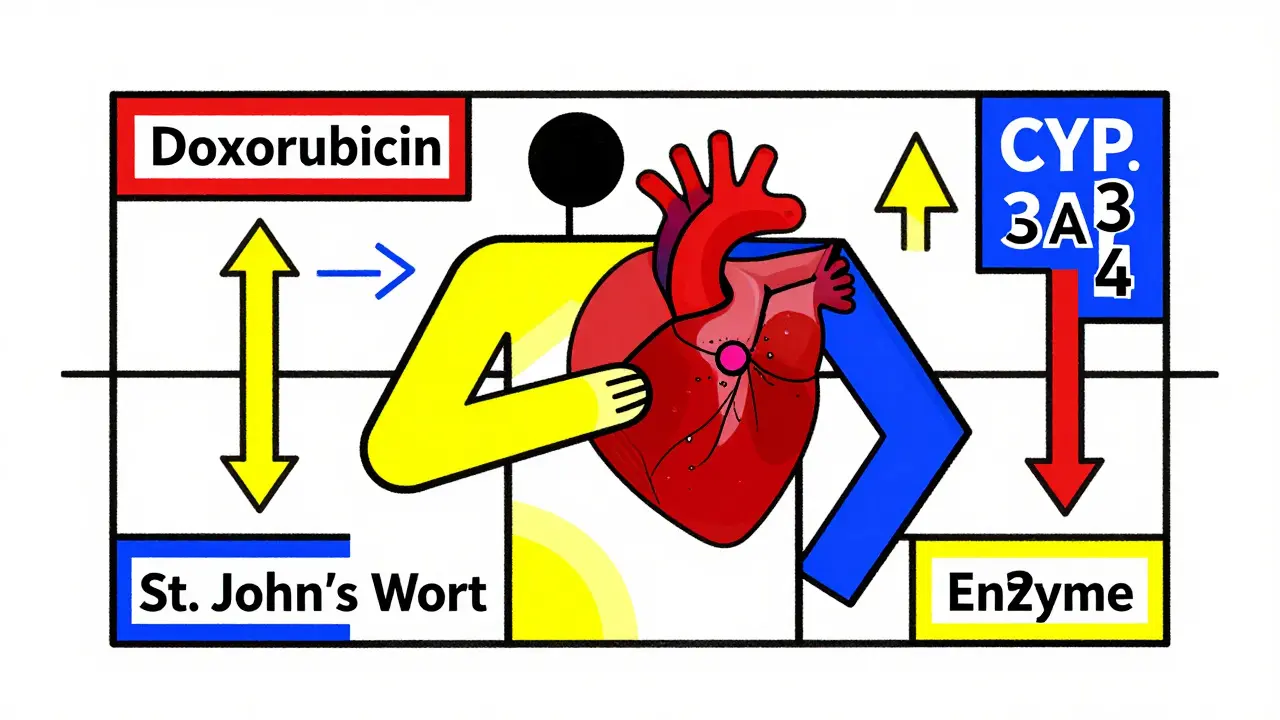 Chemotherapy and Drug Interactions in Cancer Patients: What You Need to Know