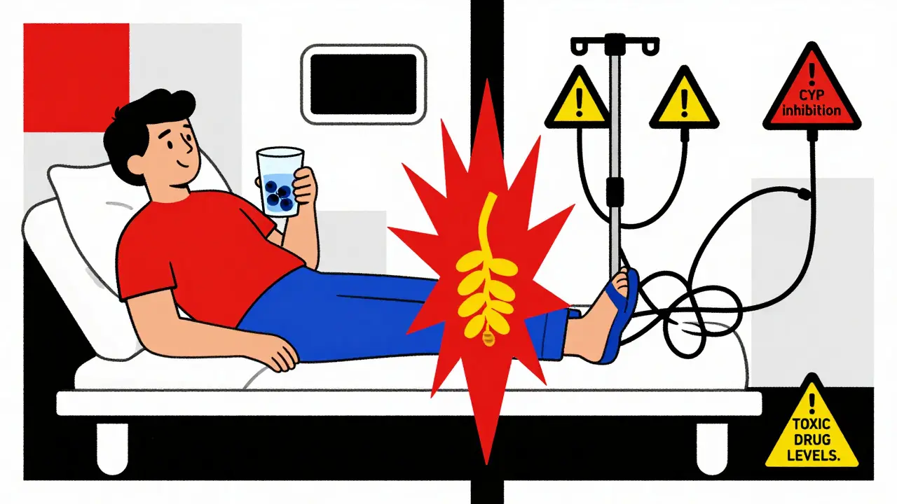 Split scene: peaceful wellness vs. medical chaos, separated by a black bar with goldenseal as a red warning shape.